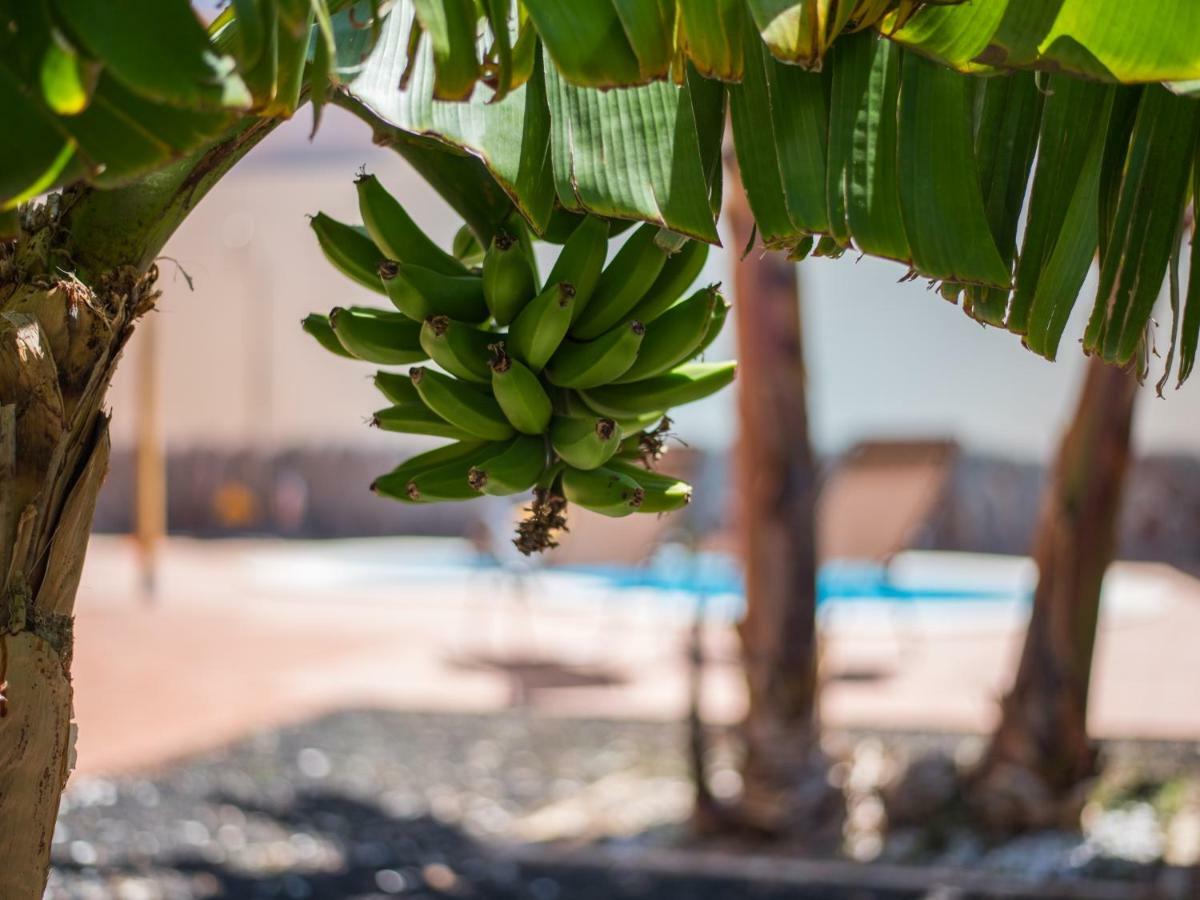 Amazing Villa Viktoria! Pool Big Garden Costa Adeje (Tenerife) Exterior photo